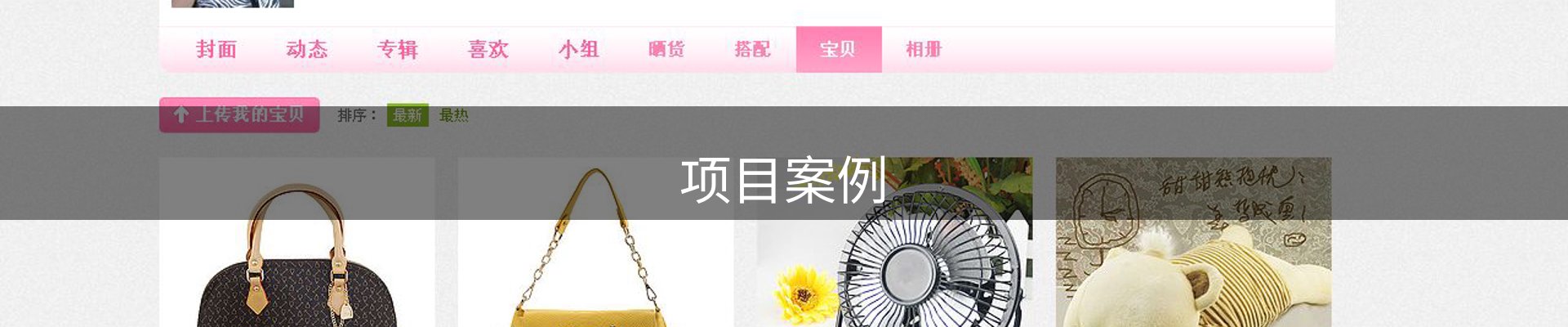 项目案例